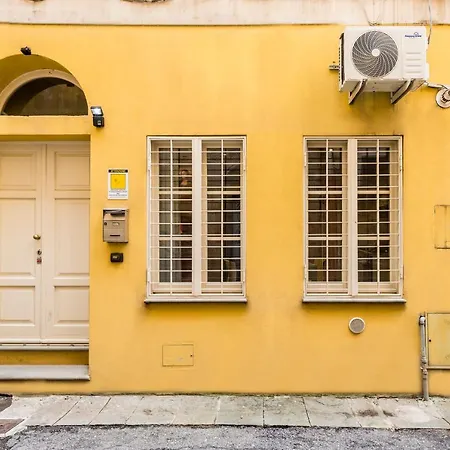 The Beautiful Apartment